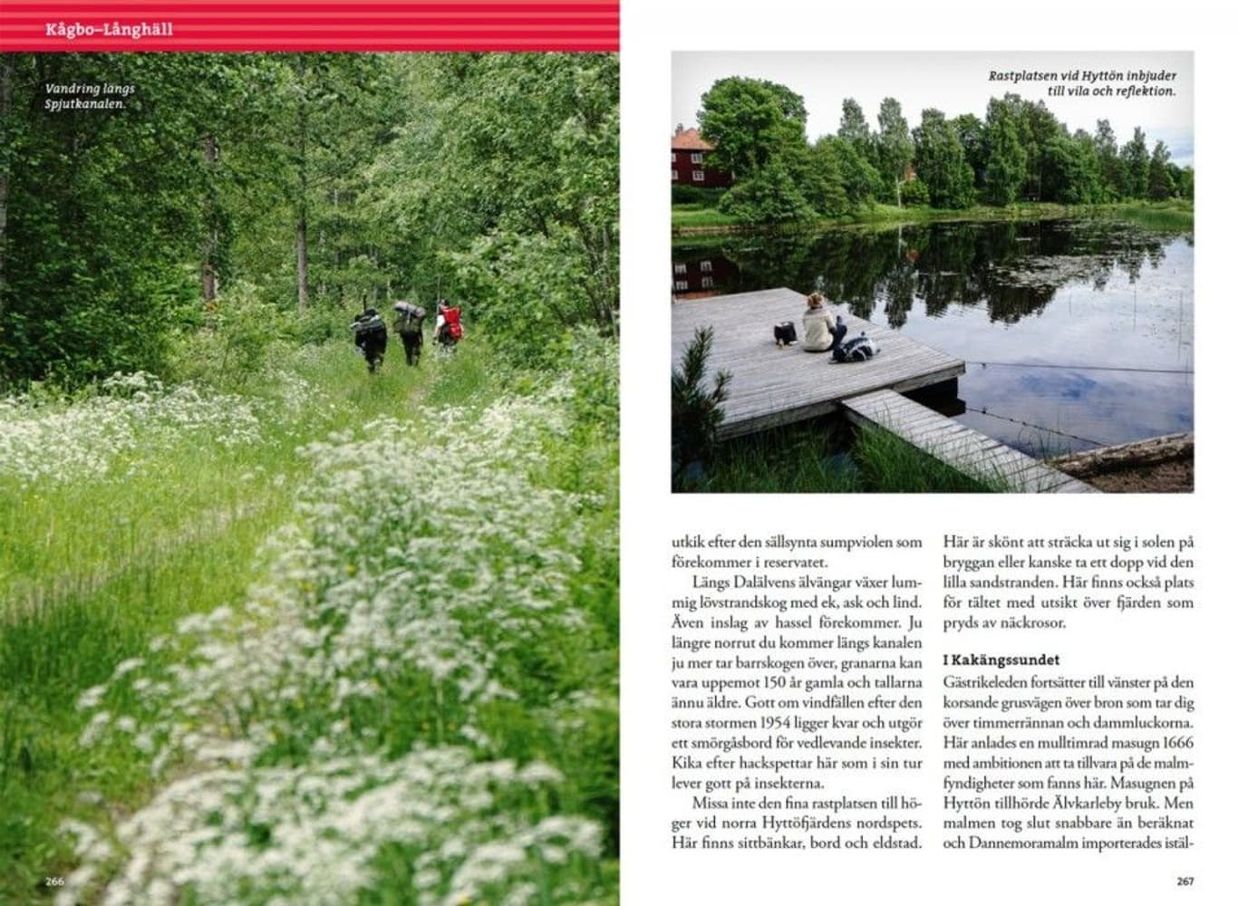 Vandra Gästrikeleden, view: 9