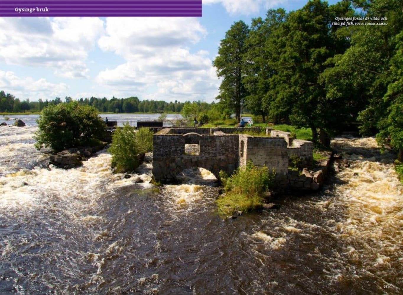 Vandra Gästrikeleden, view: 7