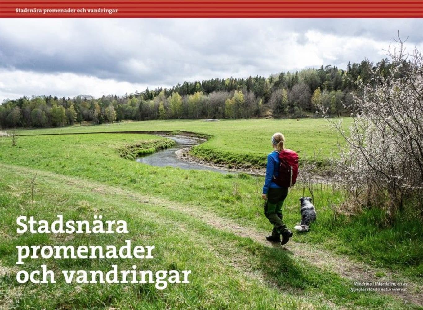 Vandring kring Uppsala, view: 1