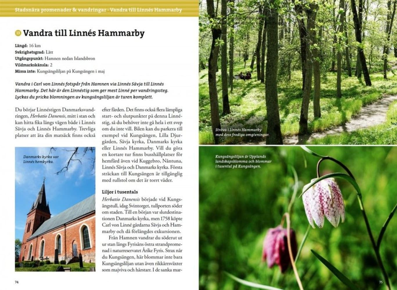 Vandring kring Uppsala, view: 2