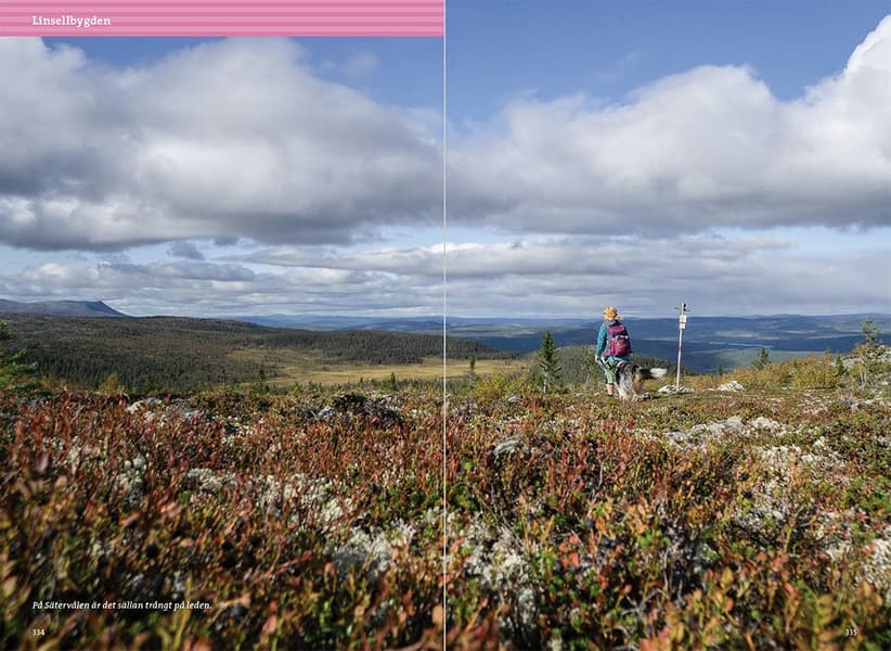 Vandra i Vemdalsfjällen, view: 11