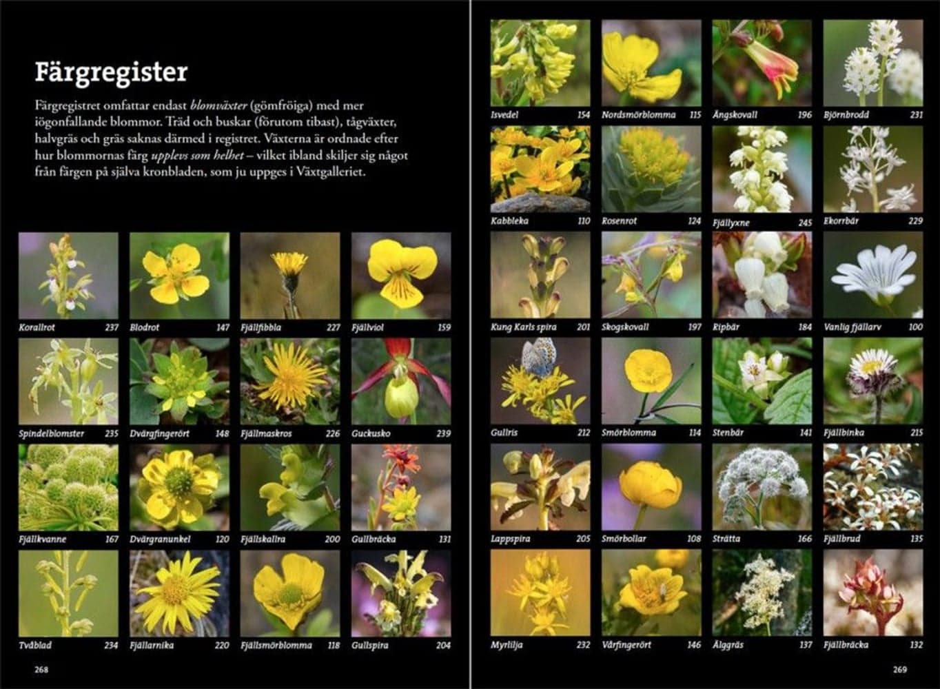 Flora för fjällvandrare, view: 8