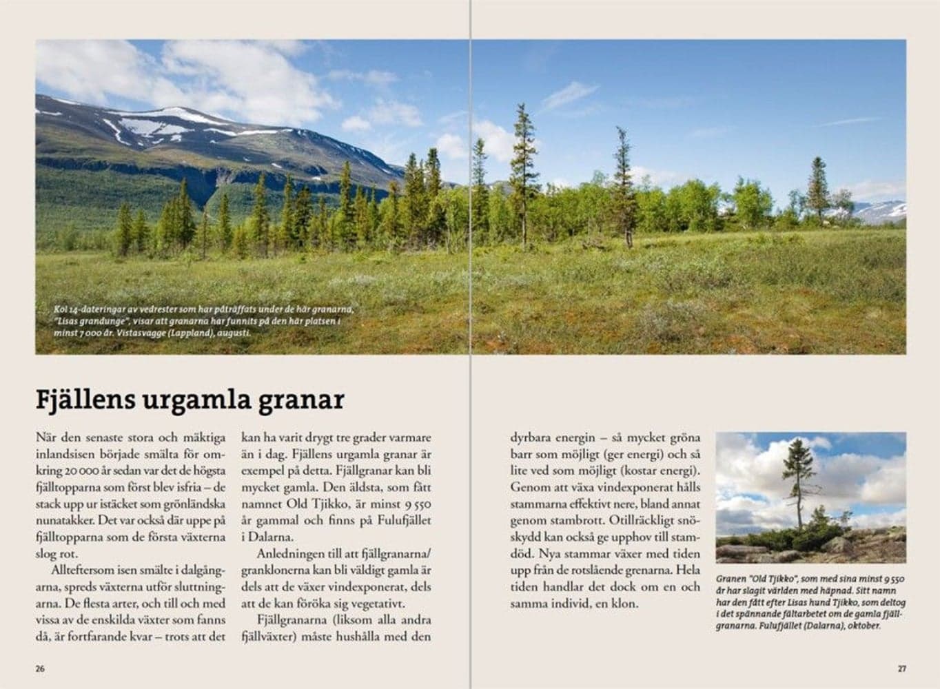 Flora för fjällvandrare, view: 2