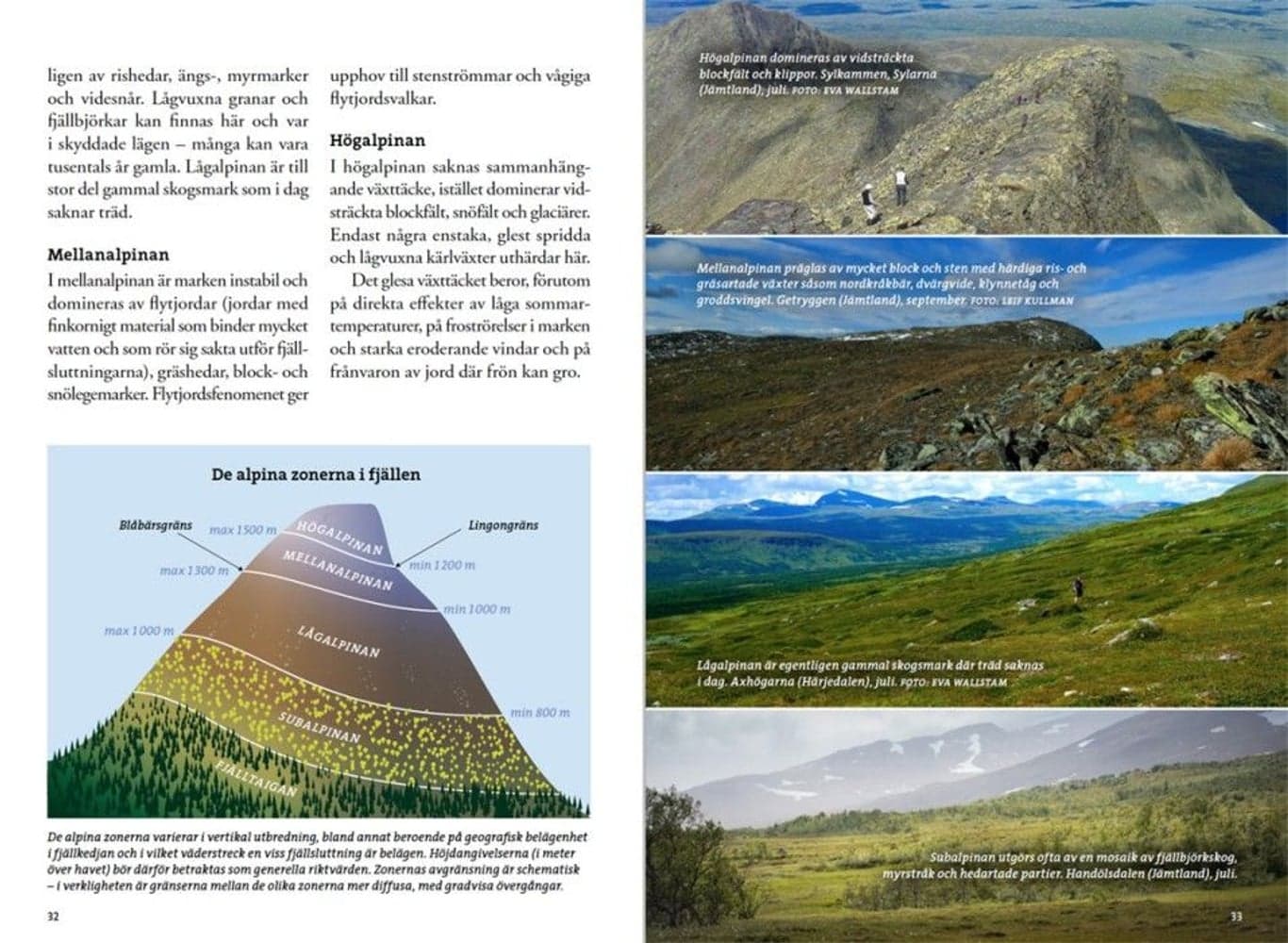 Flora för fjällvandrare, view: 3