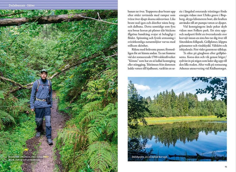 Tågvandra från Stockholm, view: 5