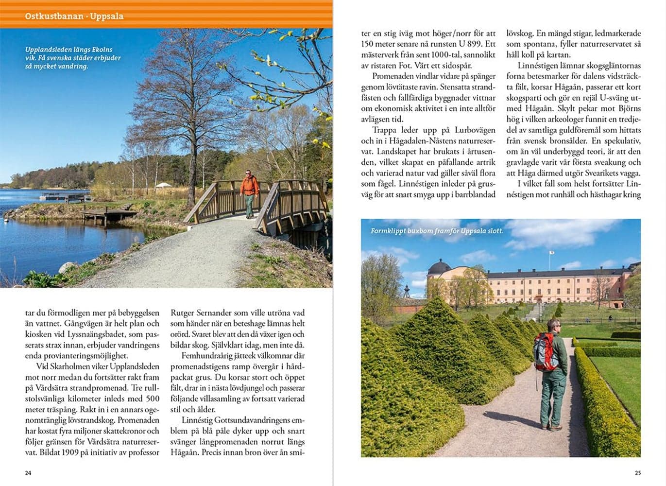 Tågvandra från Stockholm, view: 3