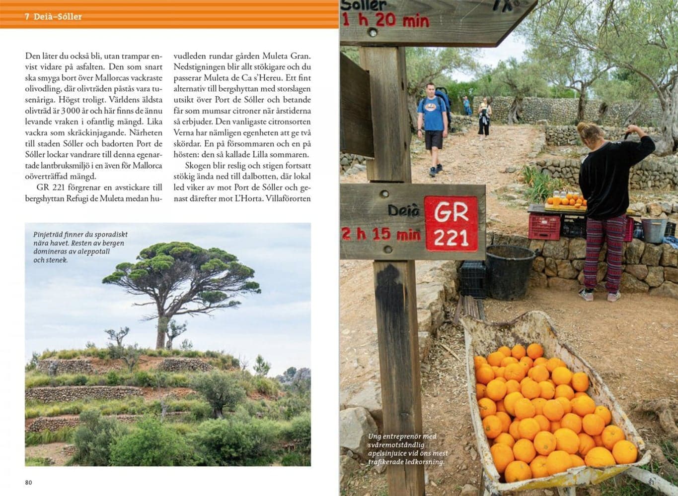 Vandra i bergen på Mallorca, view: 5