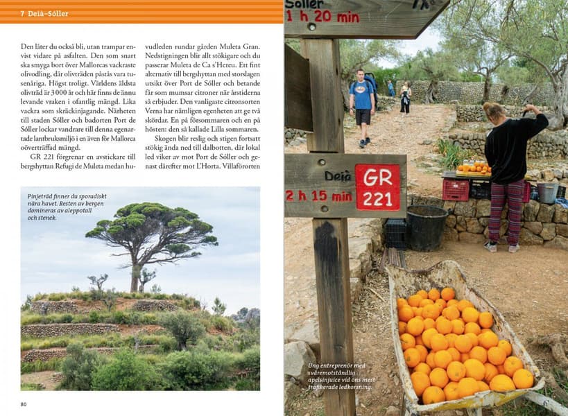 Vandra i bergen på Mallorca, view: 5