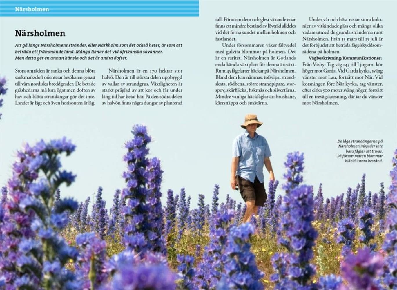 Vandra på Gotland 2:a upplagan, view: 3
