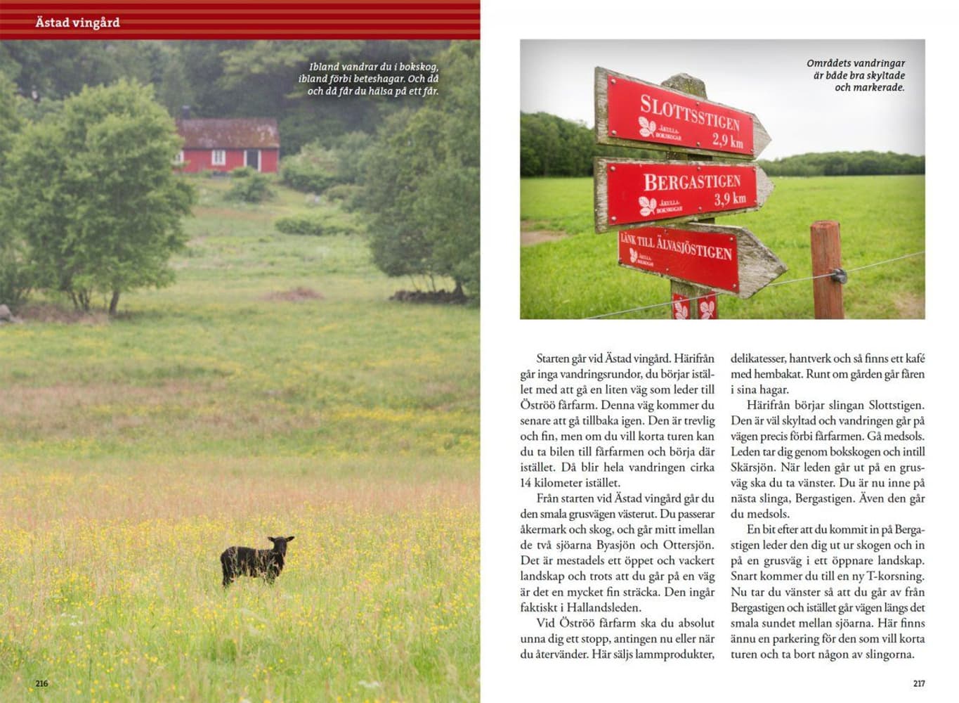 Weekendvandra kring Göteborg, view: 9