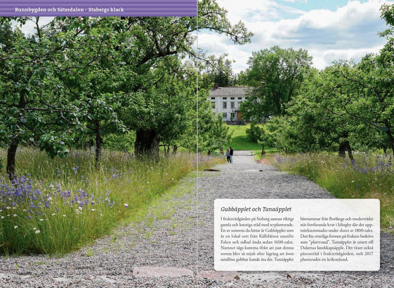 Vandring kring Falun & Borlänge, view: 10