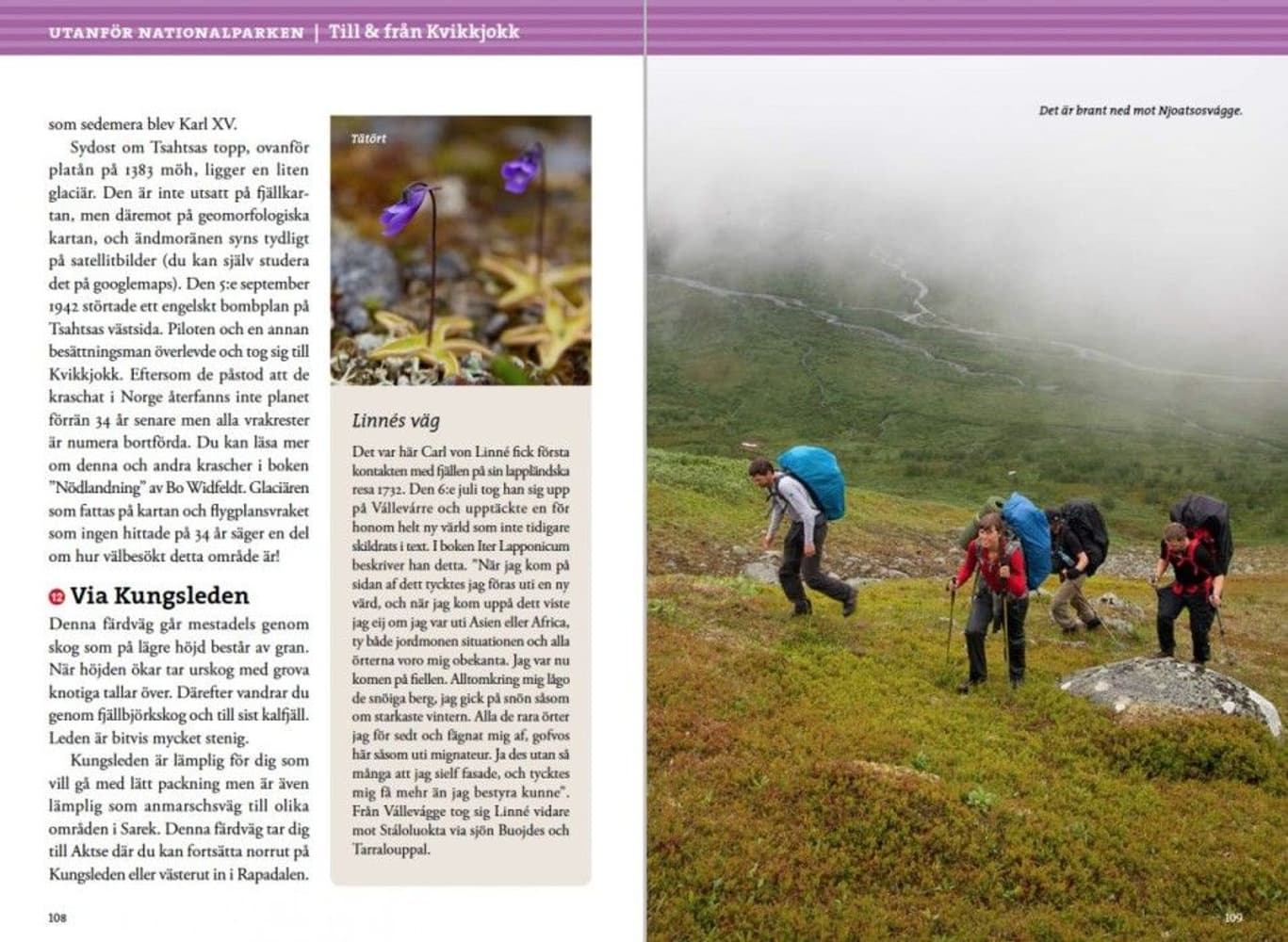 Fjällvandra i Sarek 2:a upplagan, view: 9