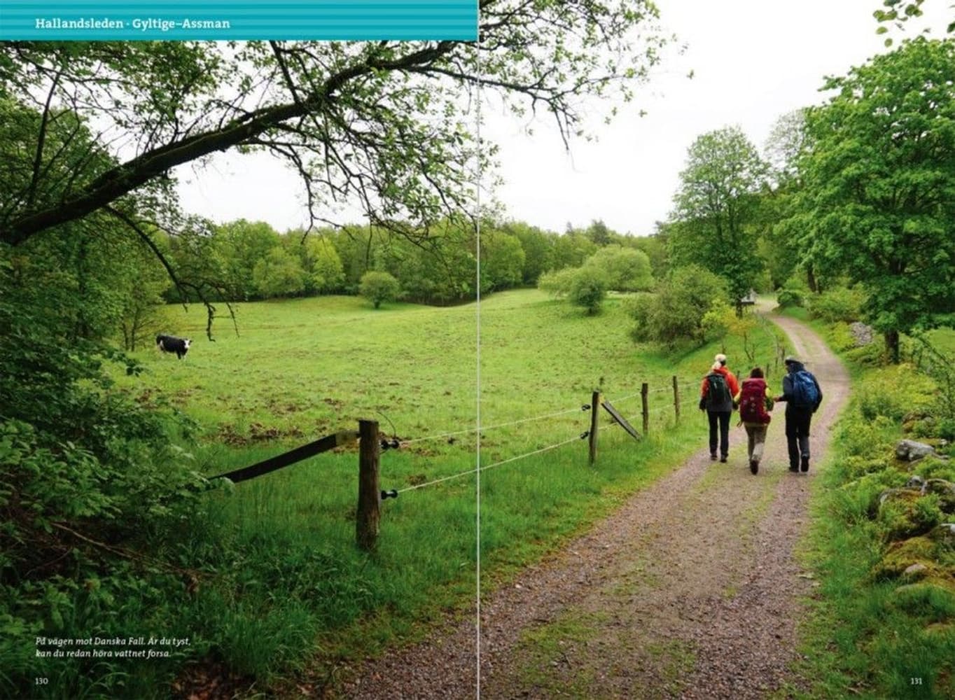 Vandra Hallandsleden 2:a upplagan, view: 11