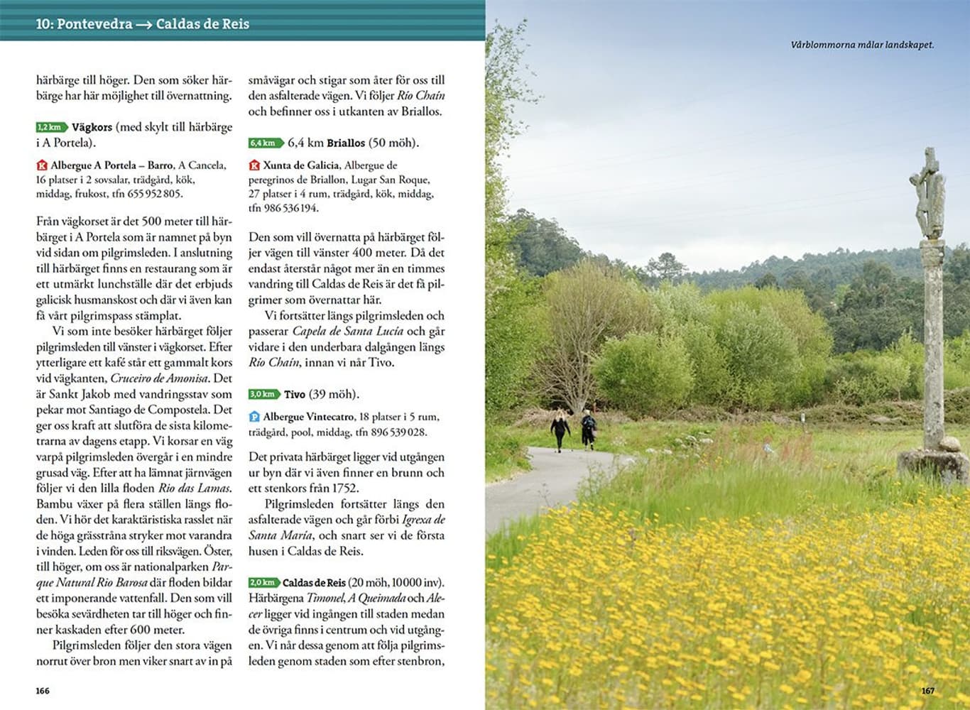 Pilgrimsvandra Camino Portugues, view: 9