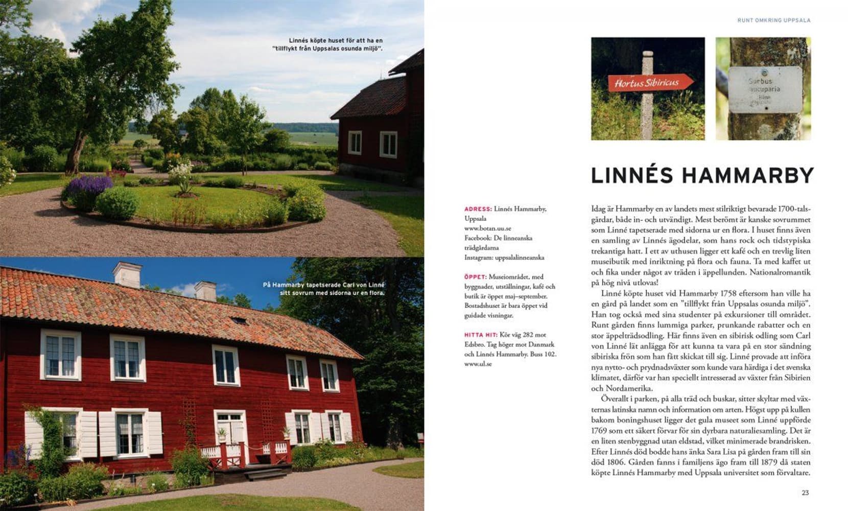 Underbara utflykter runt Uppsala, view: 3