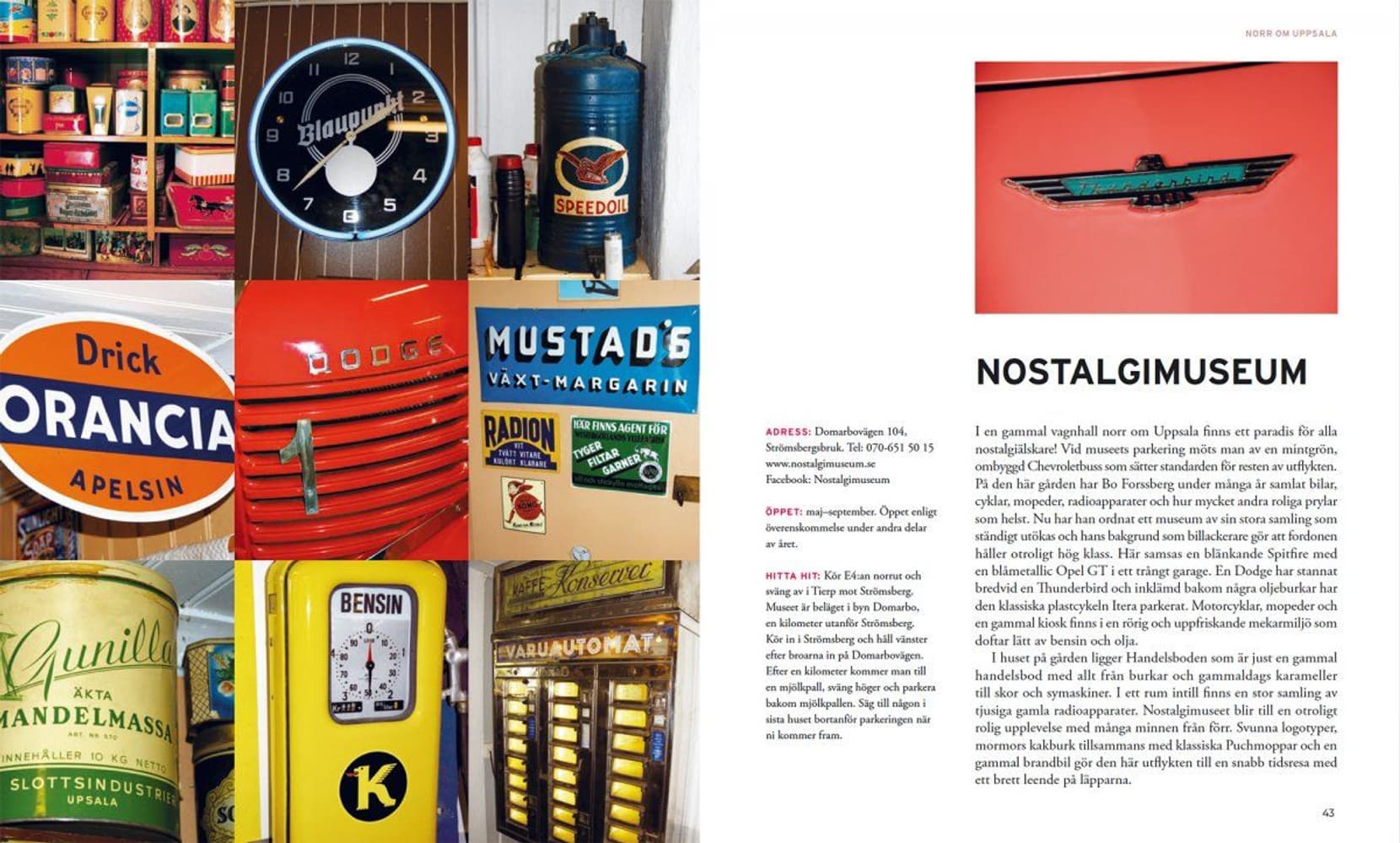 Underbara utflykter runt Uppsala, view: 4