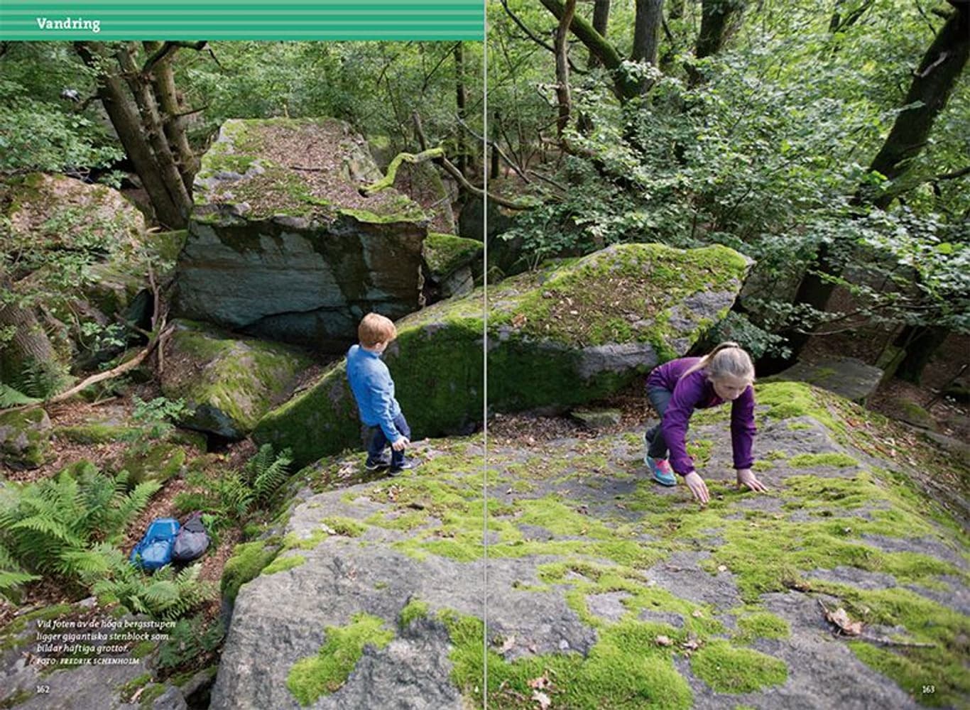 Göteborgs friluftsliv, 2:a upplagan, view: 6