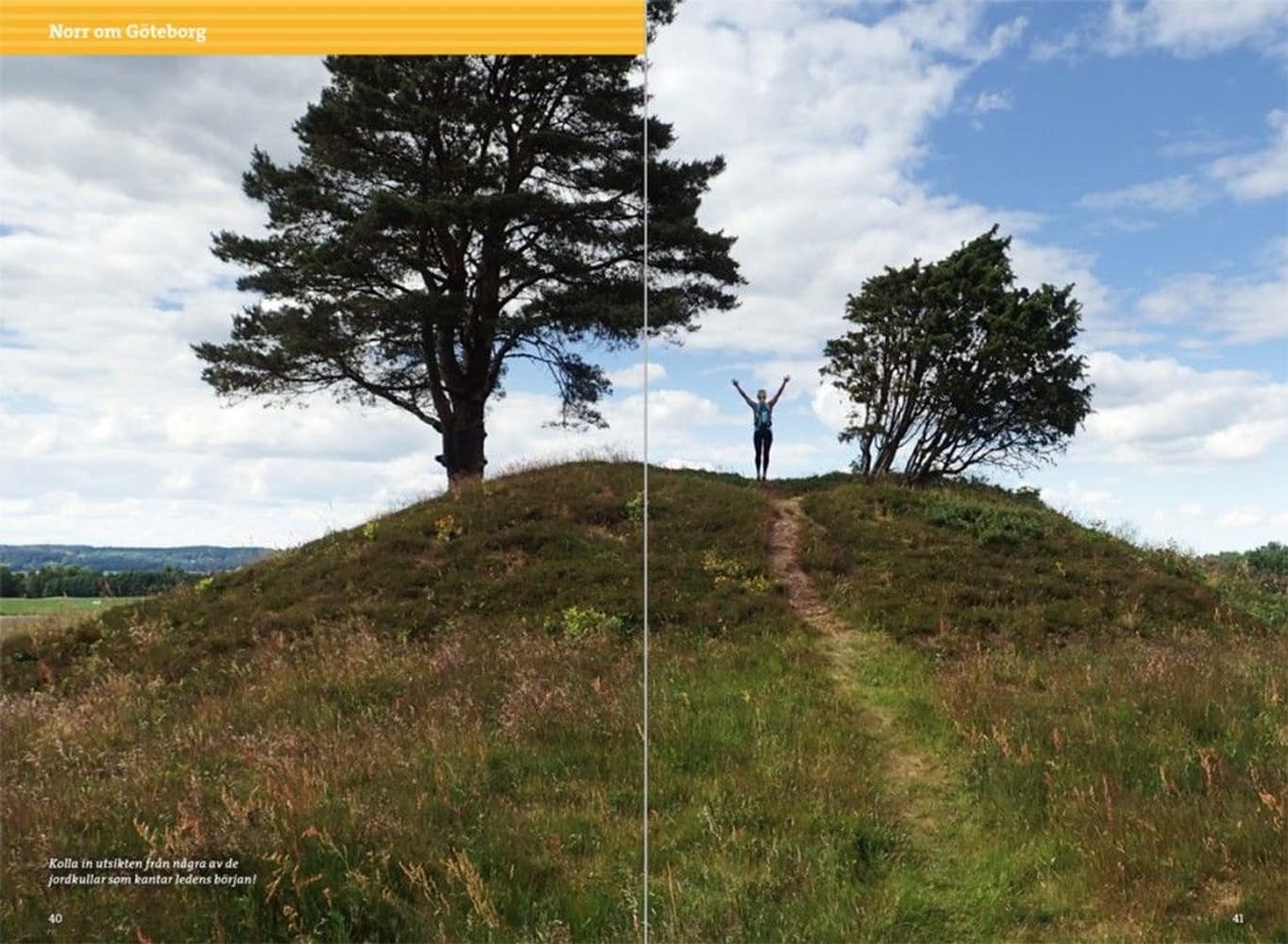 Vandring kring Göteborg 3:e upplagan, view: 3