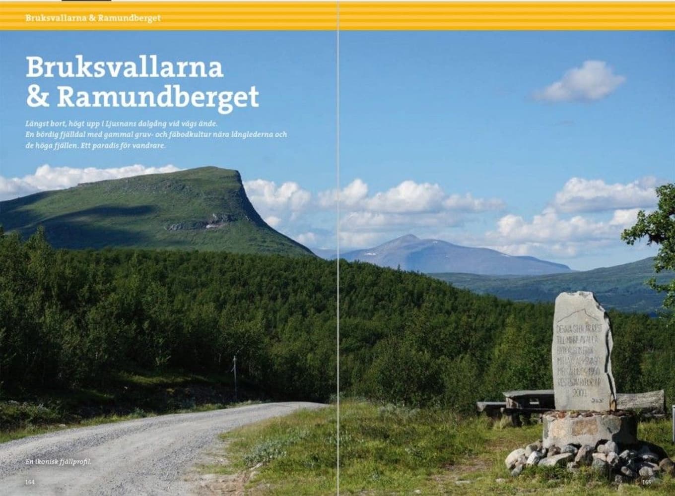 Fjällvandra i Härjedalen 2:a upplagan, view: 7