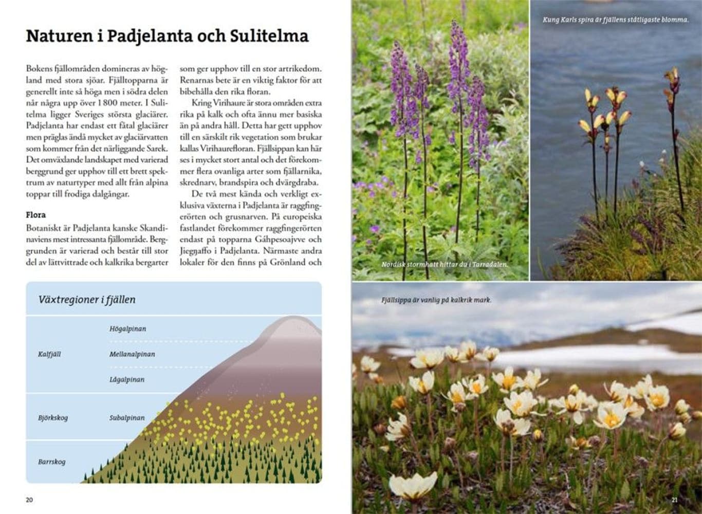 Fjällvandra i Padjelanta och Sulitelma, view: 2