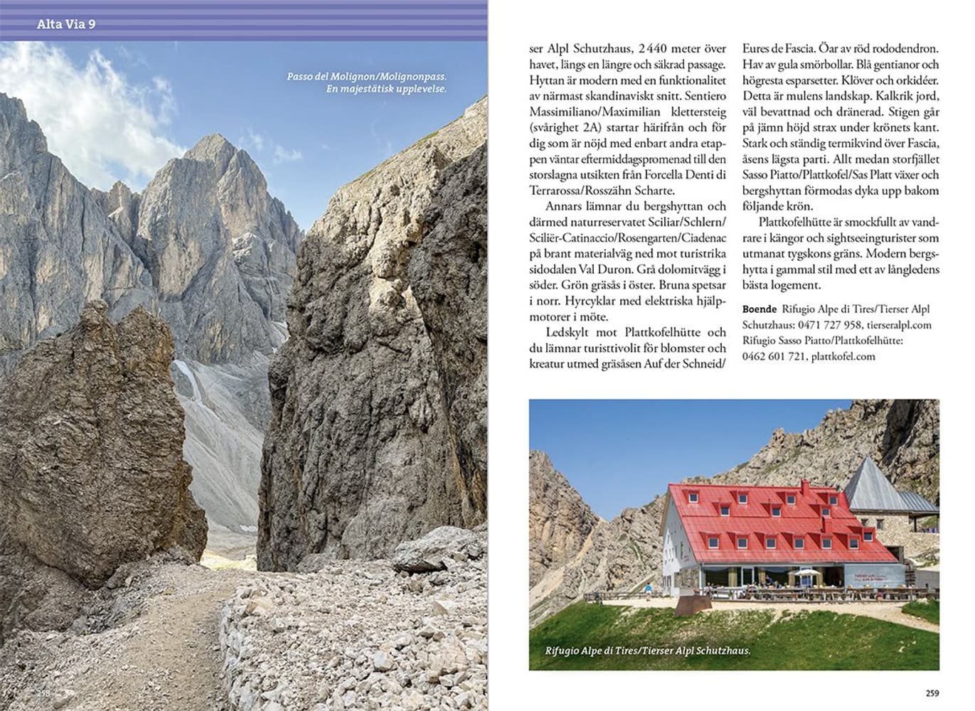Vandra i Alperna: Dolomiterna 2:a upplagan, view: 12