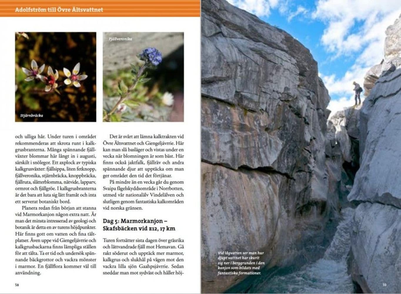 Fjällvandra i Vindelfjällen 2:a upplagan, view: 2