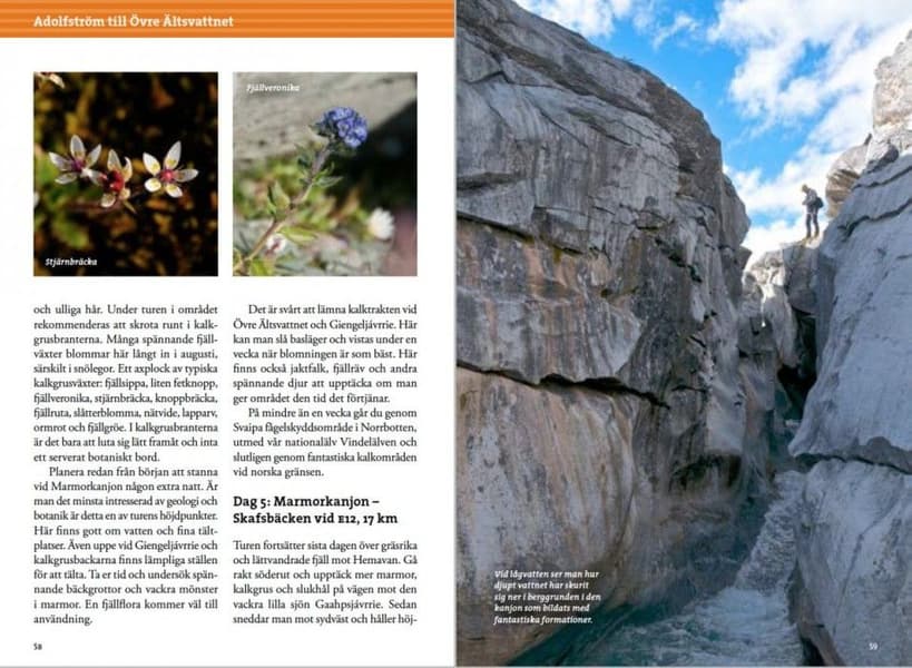 Fjällvandra i Vindelfjällen 2:a upplagan, view: 2