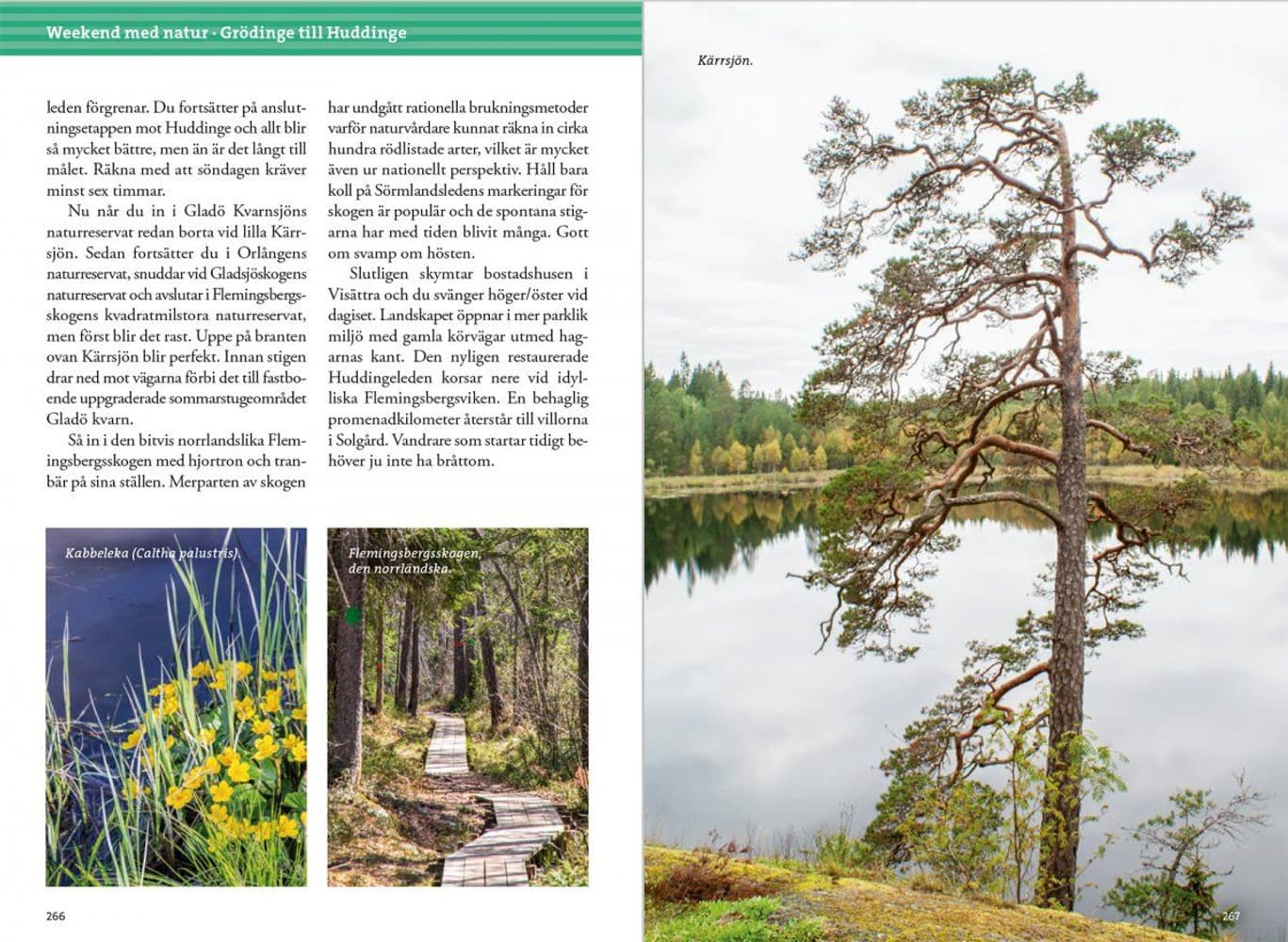 Weekendvandra kring Stockholm, 4:e upplagan, view: 10
