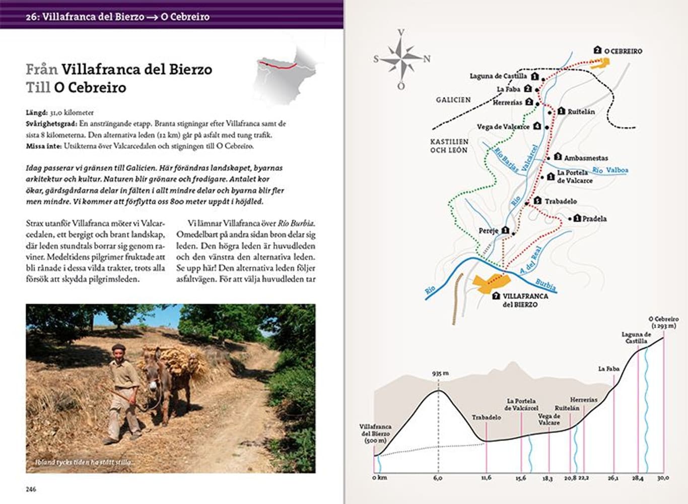 Pilgrimsvandra till Santiago de Compostela, view: 6