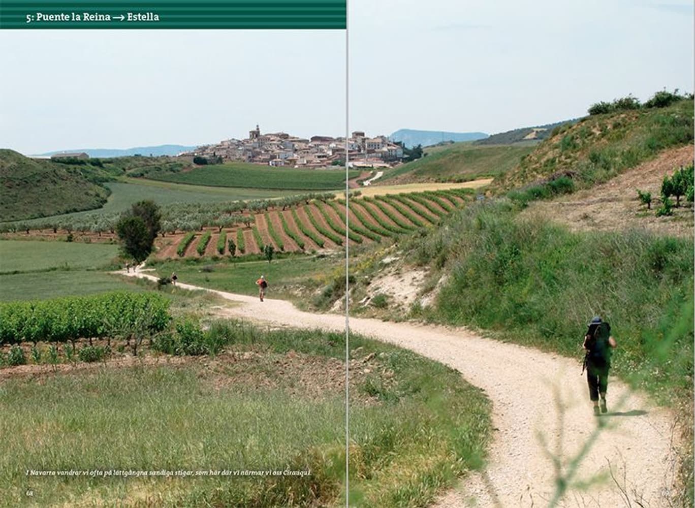 Pilgrimsvandra till Santiago de Compostela, view: 7