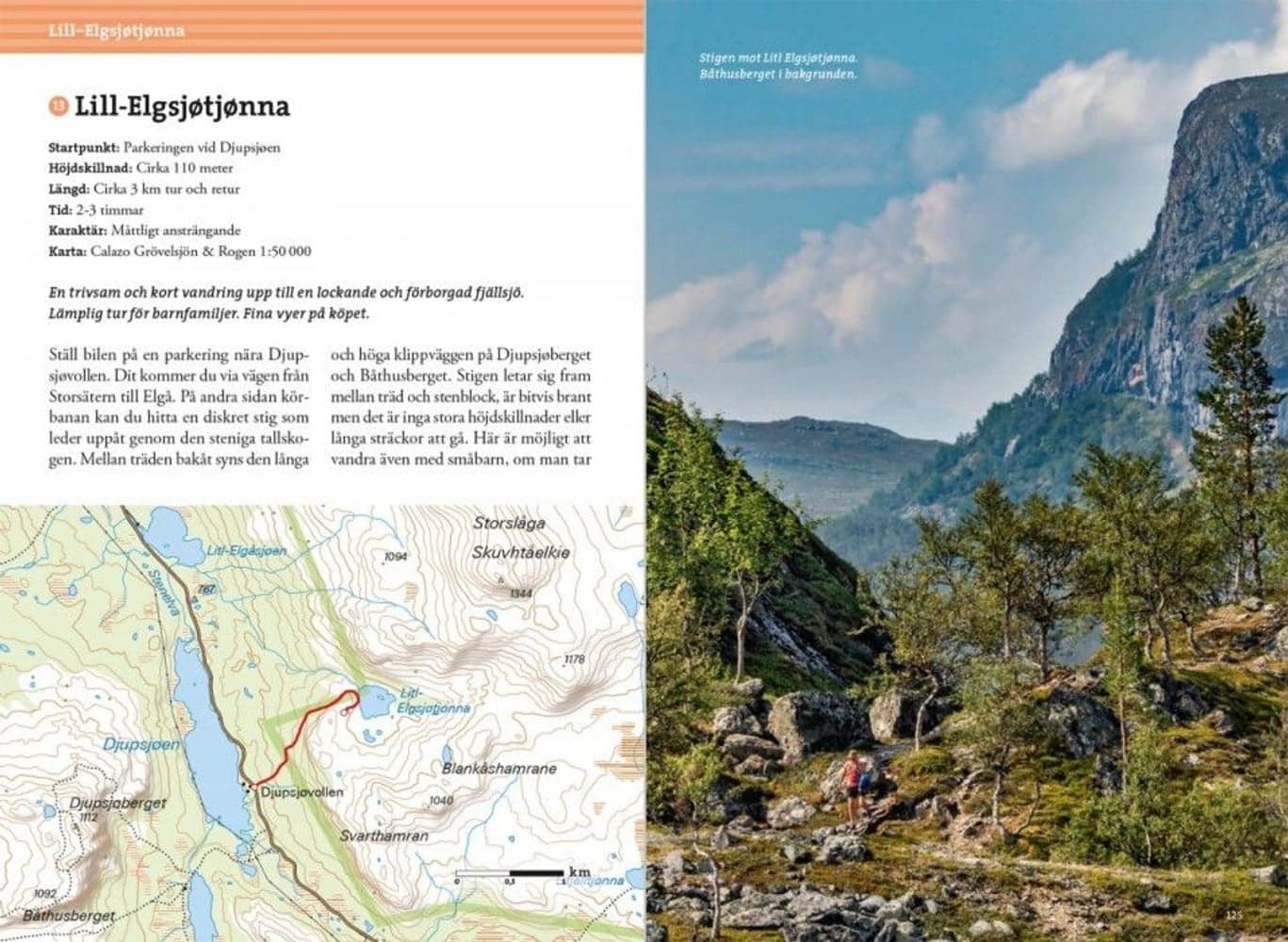 Fjällvandra kring Grövelsjön 2:a upplagan, view: 3