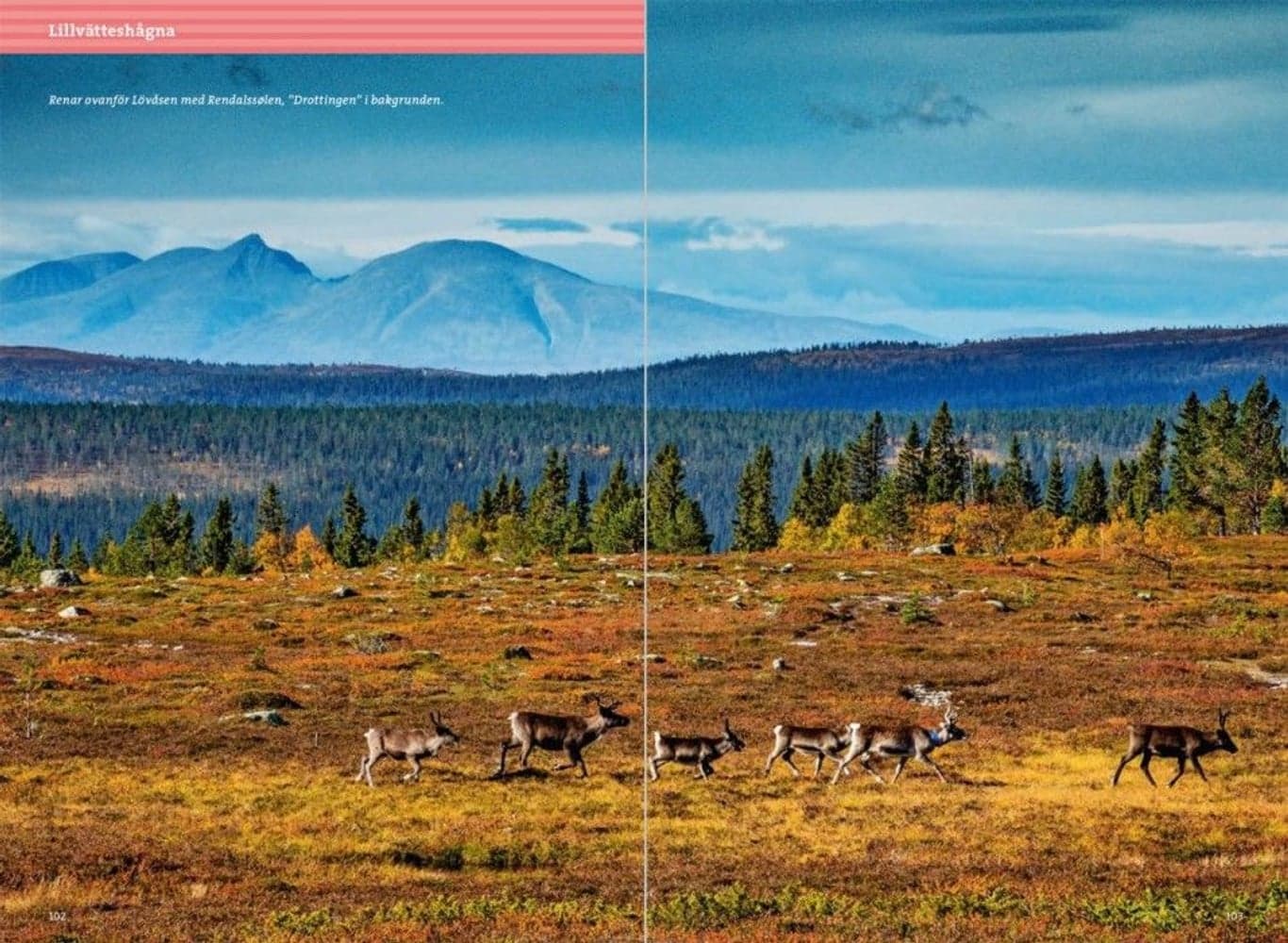 Fjällvandra kring Grövelsjön 2:a upplagan, view: 2