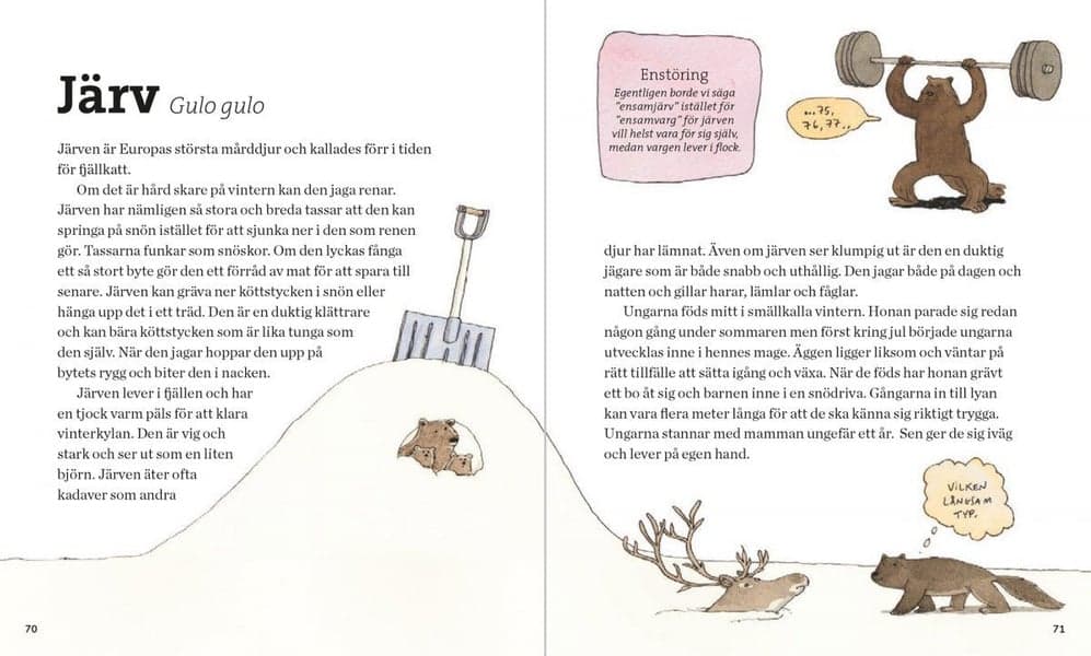 Svenska Däggdjur – lekfullt illustrerad fakta, view: 9