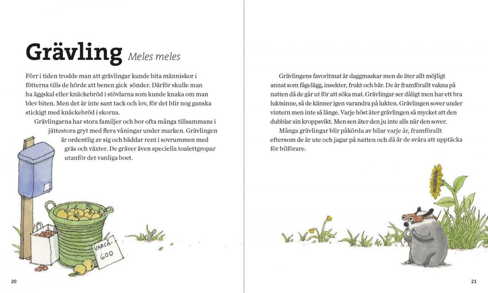 Svenska Däggdjur – lekfullt illustrerad fakta, view: 4