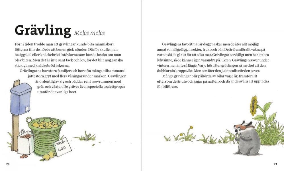 Svenska Däggdjur – lekfullt illustrerad fakta, view: 4