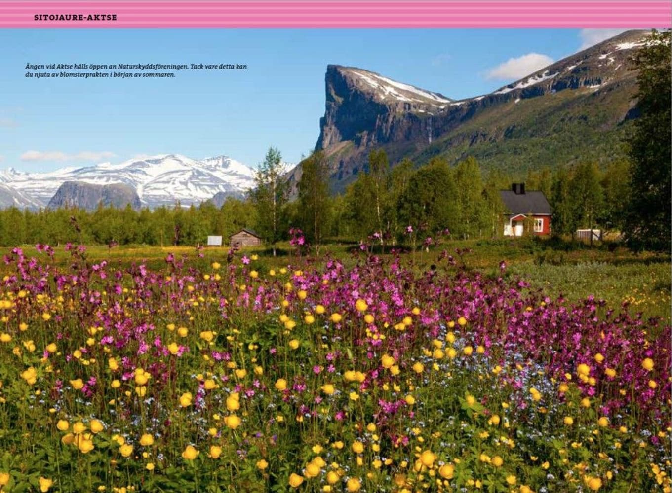 Fjällvandra längs Kungsleden: Abisko - Kvikkjokk 2:a uppl, view: 10