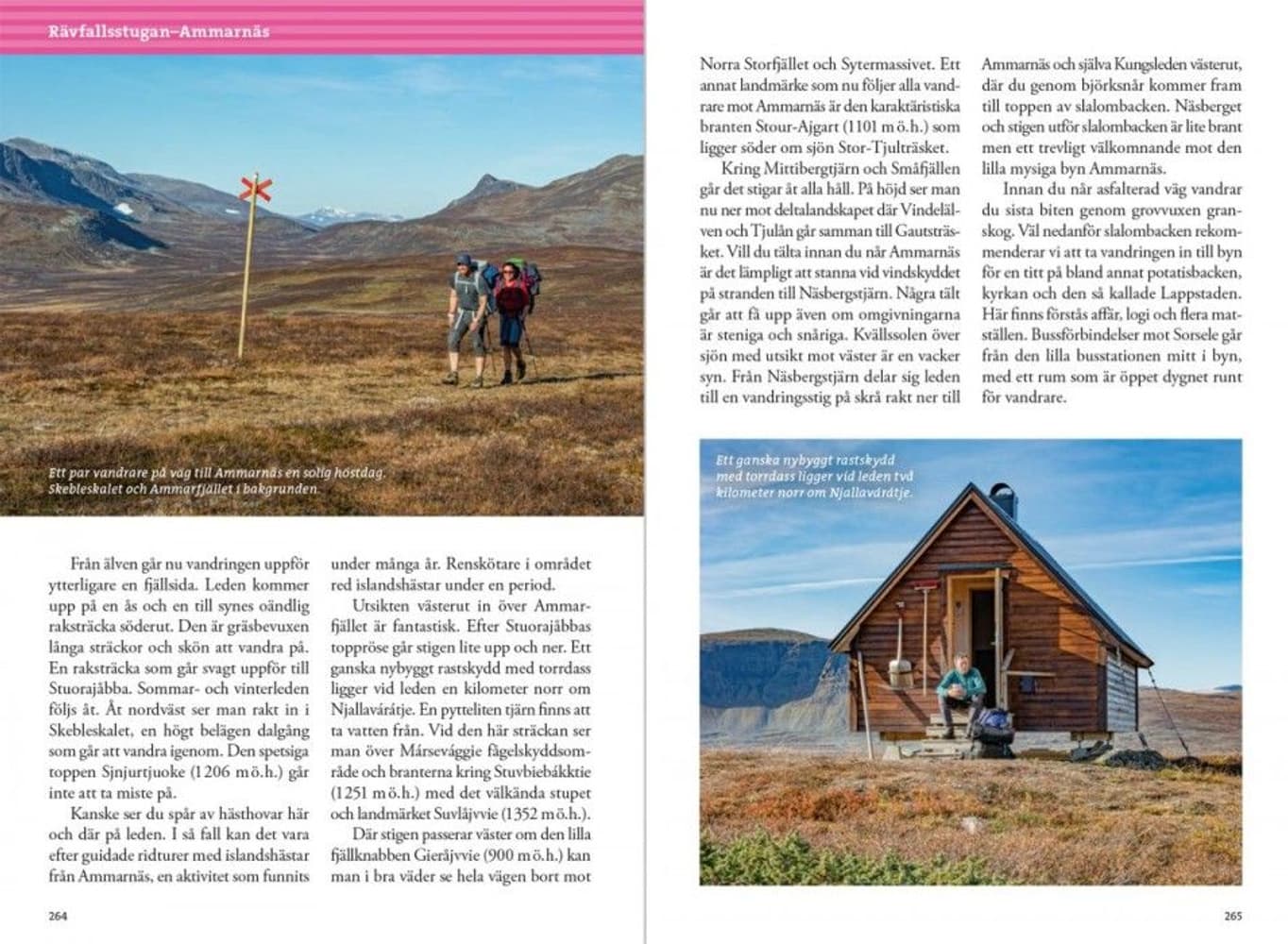 Fjällvandra längs Kungsleden Abisko - Hemavan 4:e upplagan, view: 7