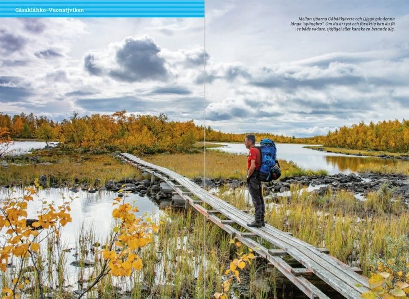 Fjällvandra längs Kungsleden Abisko - Hemavan 4:e upplagan, view: 5