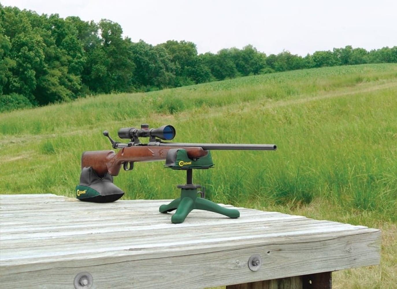 The Rock Jr., view: 1