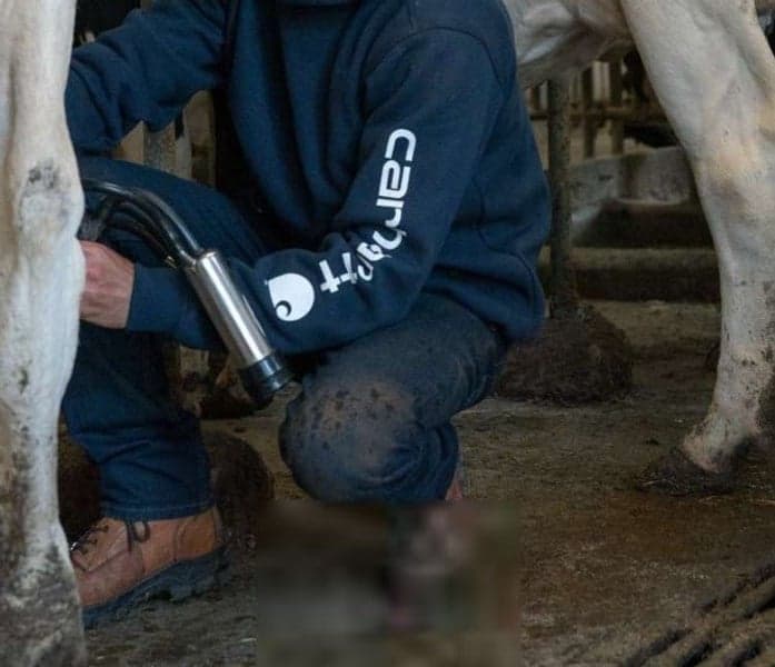 Carhartt M's Sleeve Logo Hooded Sweatshirt Navy, view: 2