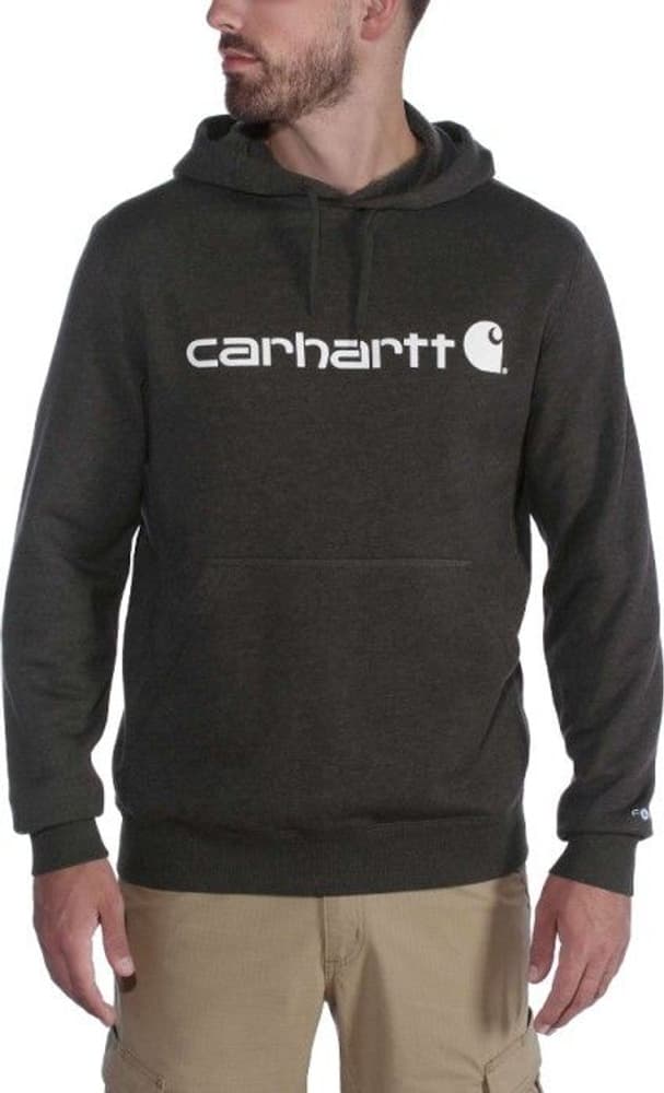 Carhartt M's Delmont Graphic Hooded Sweatshirt Black Heather, view: 1