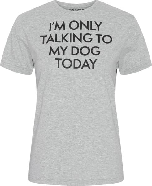 Trainer Helsingborg T-Shirt Grey, view: 0