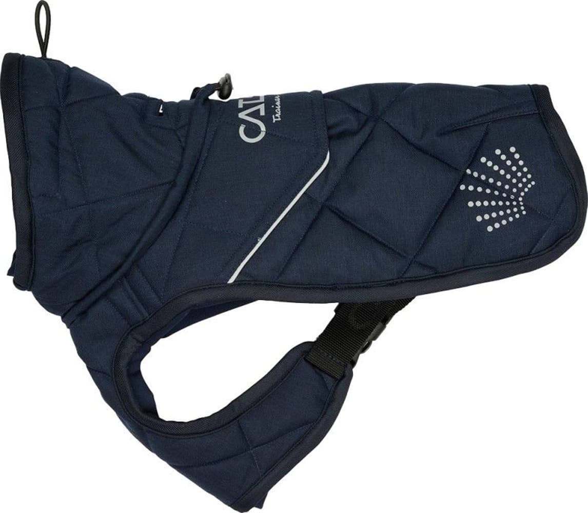 Fir-Tech Trainer Dog Rug Night Sky 25 cm, view: 0