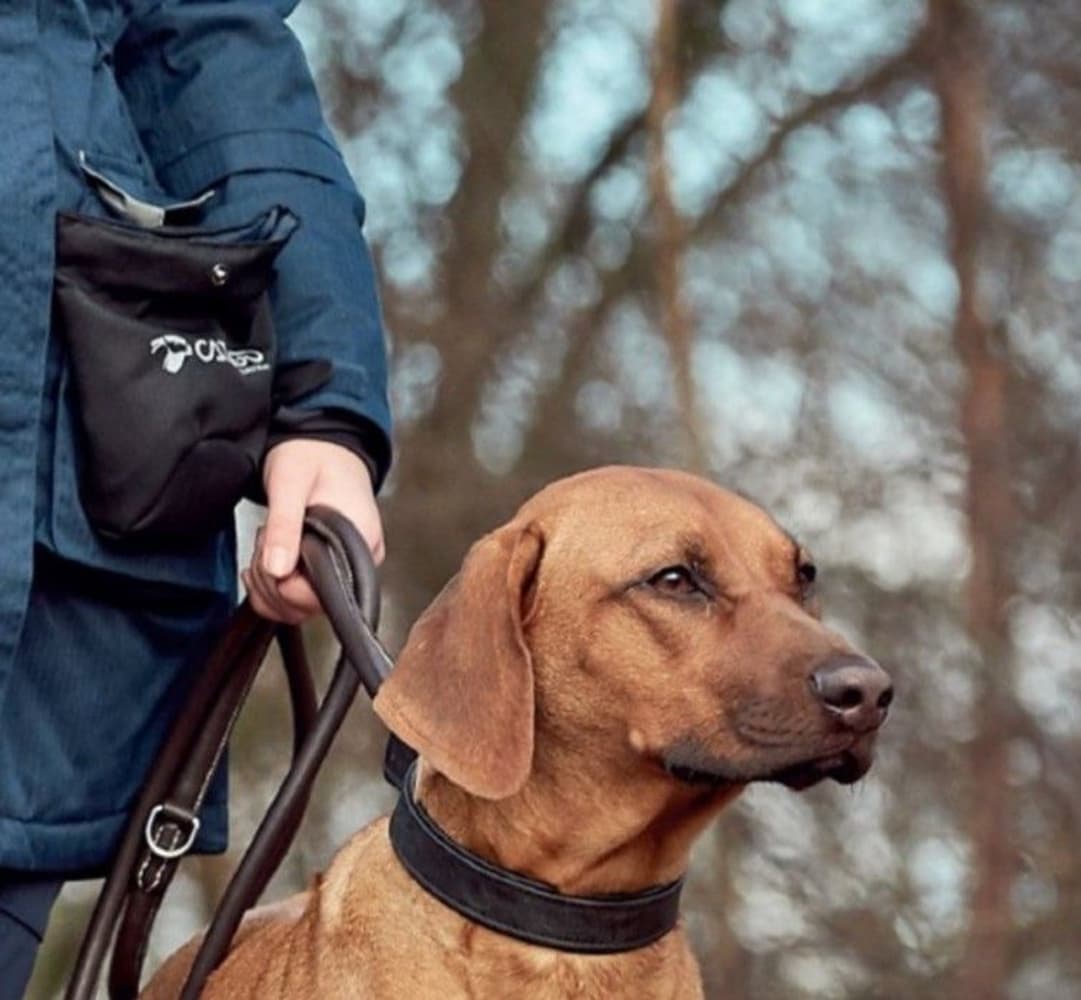 Snack Pocket for Trainer Jacket Black, view: 1