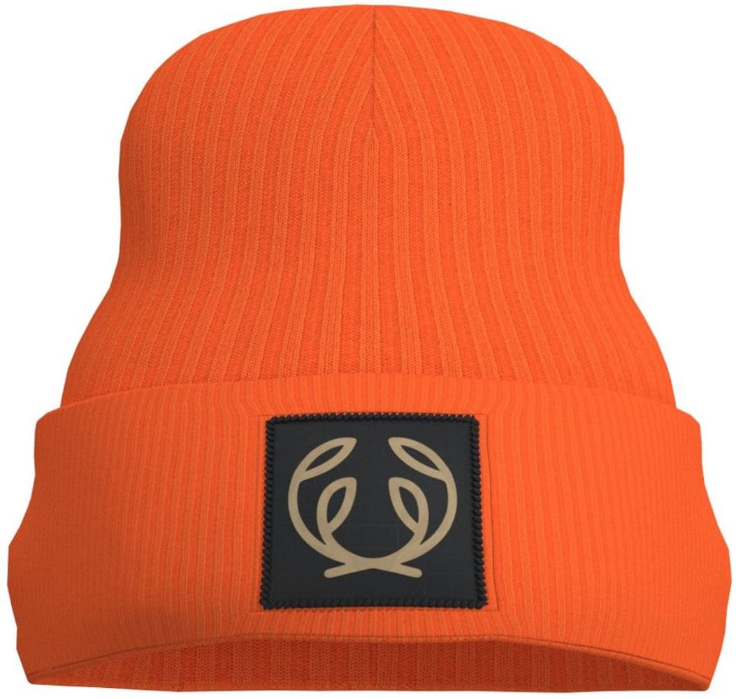 Symbol Beanie High Vis Orange, view: 0