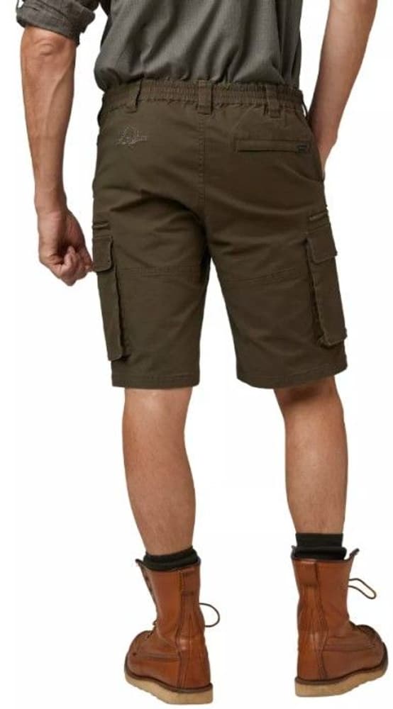 Devon Shorts Men Brown, view: 2
