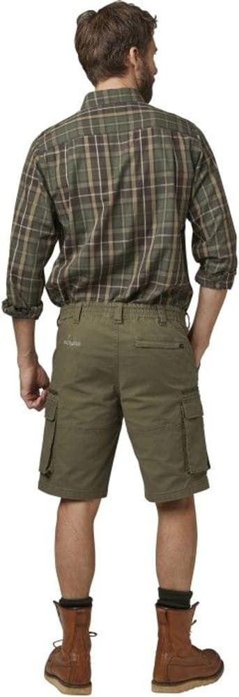 Devon Shorts Men Green, view: 4