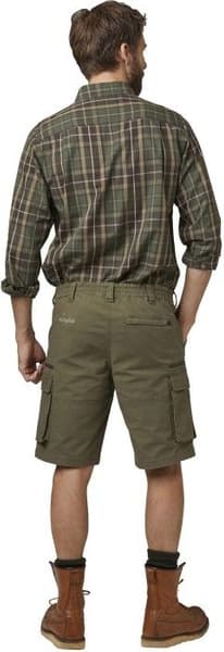 Devon Shorts Men Green, view: 4