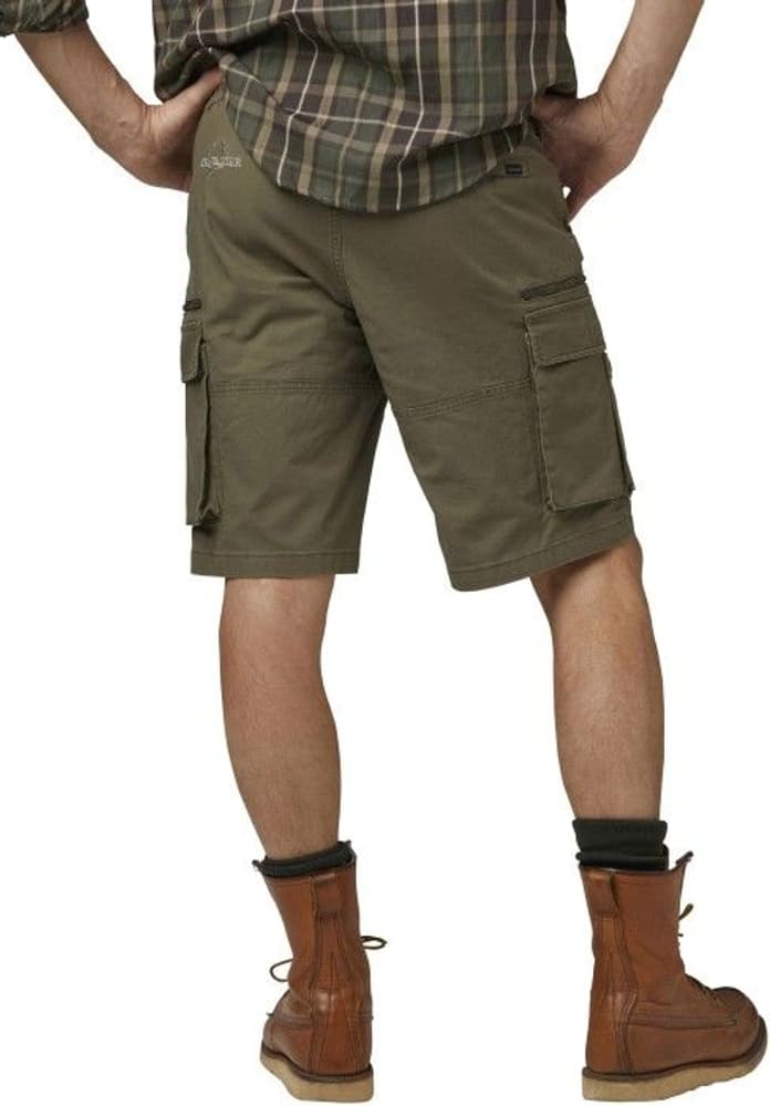 Devon Shorts Men Green, view: 2