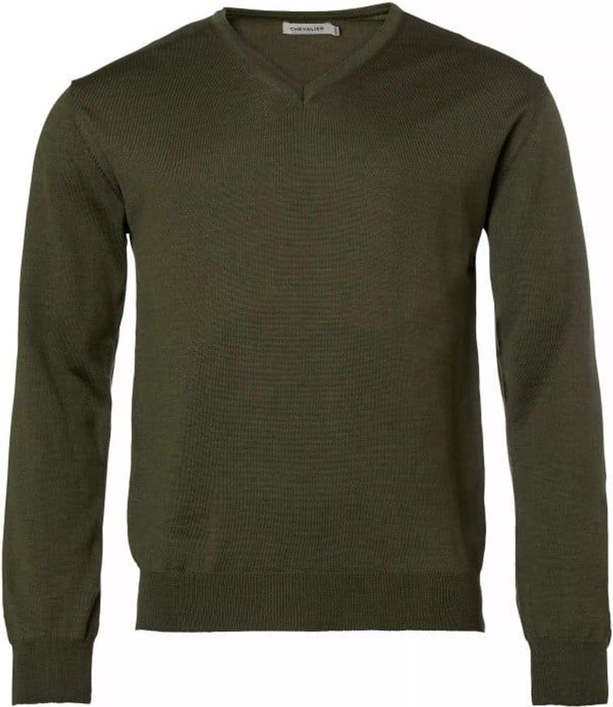 Aston Pullover Men Pine Green, view: 0